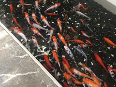 -太湖饭店·寄畅轩中餐厅