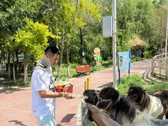 -水上乐园·欢乐世界