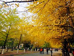 -辽宁大学(崇山校区)