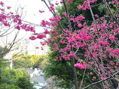 -乌山风景区