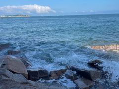 -青岛海滨风景区