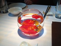 -碧丽宫大酒店(召稼楼店)