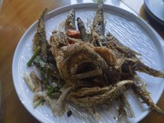 -芦茨金富饭庄·25年老字号·专做稻草鸡