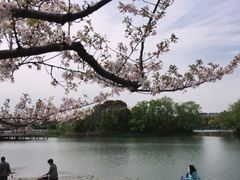 -新江湾城公园