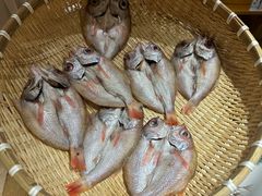-镹·鱼料理  国产鱼使用店