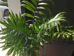 -永安鱼庄·镇江菜(东吴路店)