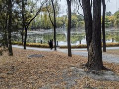 -森林公园(尖草坪区)