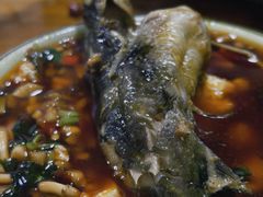 -金海椒罐罐鲢鱼(东方桂苑店)