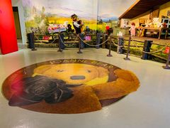 -济州岛泰迪熊博物馆