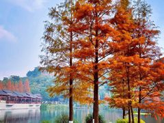 -重庆彩云湖湿地公园