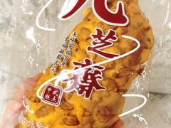 -九芝斋(解放路店)