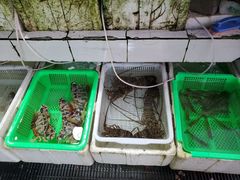 -外伶仃岛海鲜市场