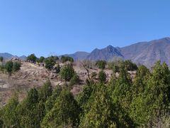 -白水寺森林公园