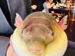 气鼓鼓的河豚-永安鱼庄·镇江菜(东吴路店)