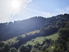 -敬亭山风景名胜区