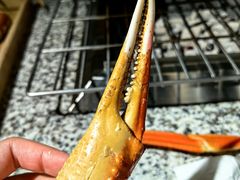 -震海贝烤贝·民俗特色店(延吉总店)