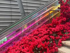 -万科生活广场(东莞松山湖店)