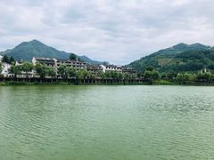 -后柳水乡