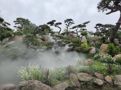 -罗红摄影艺术馆