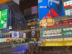 -蟹道乐(道顿堀本店)