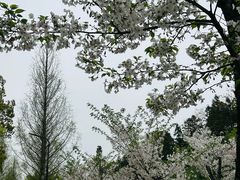 -南北湖风景区