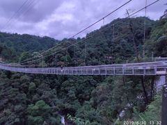 -九龙江国家森林公园