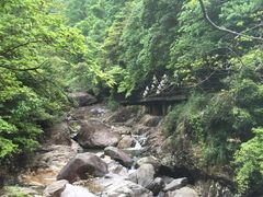 -花岩国家森林公园