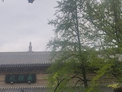 -灵谷景区