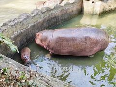 -宁波野生动物园