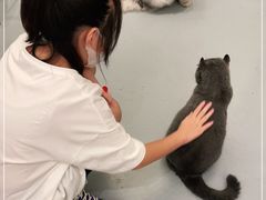 -猫友咖啡店(玉林西路店)