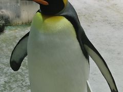 -大连圣亚海洋世界