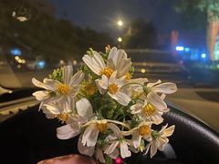 -独食火锅·半米屋台(直营总店)