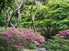 -上海滨江森林公园