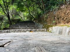 -广州白江湖森林公园