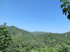 -田心森林公园