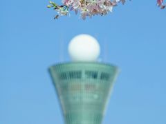 -狐尾山公园