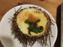 海胆蒸蛋-海胆小馆(东北水饺·春柳店)