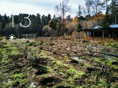 -五营红松林海景区