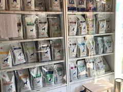 -爱侣宠医·鹦鹉专科·小型哺乳类·异宠专科(灵石路店)