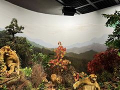 -陕西自然博物馆