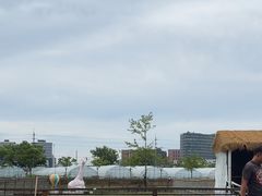 -上海山野camping·户外天幕烧烤·团建拓展营地