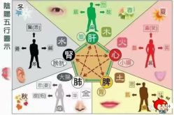 -香薇妮丝·定制减肥·身材管理