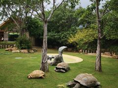 -珠海长隆海洋王国