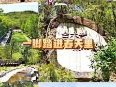-白水寺森林公园