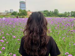 -光明小镇欢乐田园
