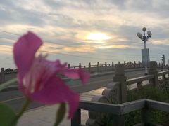 -南沙十九涌渔人码头-南门