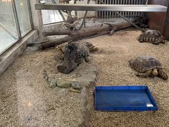 -哈尔滨北方森林动物园