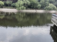 -北岭山森林公园