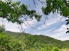 -王顺山国家森林公园