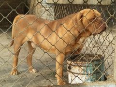 -意大利农场度假村